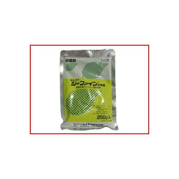 (_) W[t@Ca 250g (|p Eۍ)