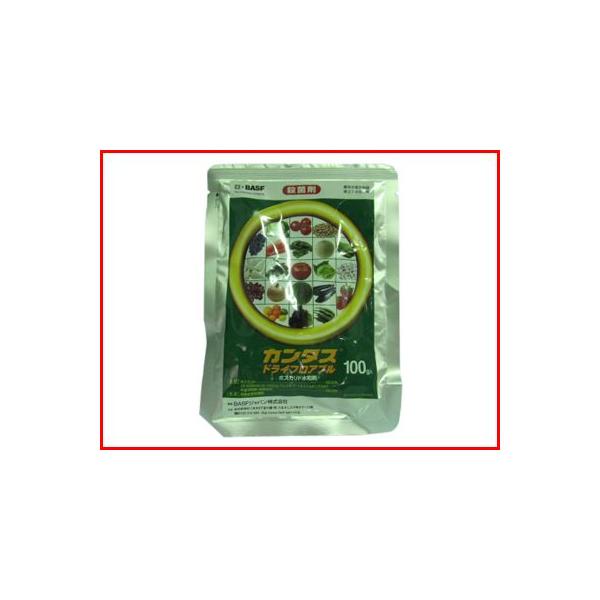 (_) J^XhCtAu 100g (|p Eۍ)