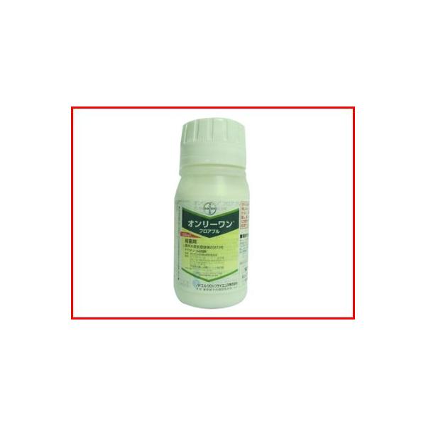 (_) I[ tAu 250mL (|p Eۍ) tʎ  lM jjN euRi][a
