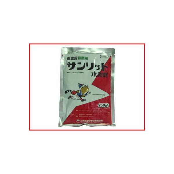(_) Tbga 250g (125g X2) (|p Eۍ)