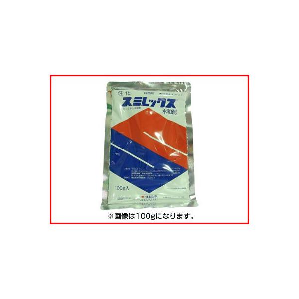 (_)X~bNXa 500g(|p Eۍ)