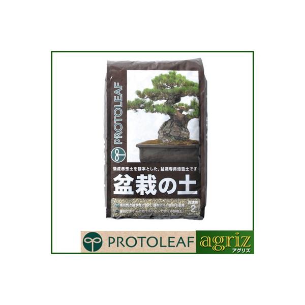 vg[t ~͂̓y 2L 16Zbg(1P[X)