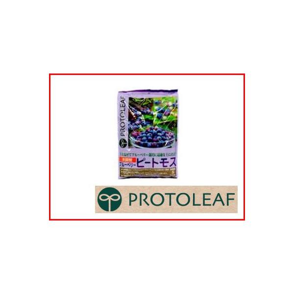 vg[t u[x[s[gX 12L 6Zbg 엿 TcL ccW VNiQ AUA s[gX