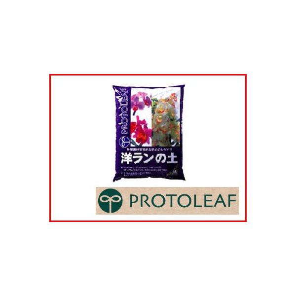 vg[t m̓y 5L x 10Zbg Y҂E߂S̔z VrWE̐Aւ Ȃǂ Kxȕې r |{y