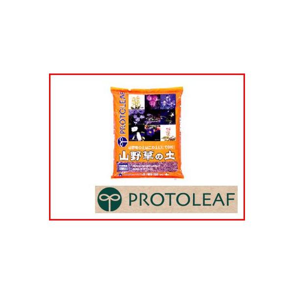 vg[t R쑐̓y 5L 10Zbg