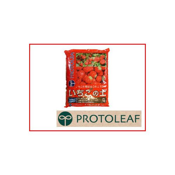 vg[t ̓y 5L x 10Zbg HׂC`SɈSȗL@엿 o[N ԋʓy y ݂炽 Y RRVK ty