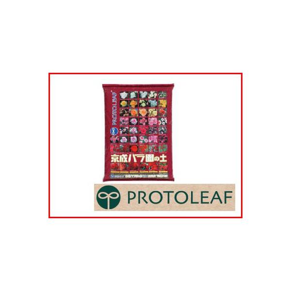 vg[t o̓y 12L 4Zbg o|ƋJop|{y ~j`A[Y I[h[Y