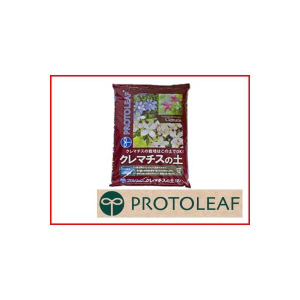 vg[t N}`X̓y 12L 4Zbg