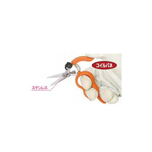 (�ŒZ��������) ���n�� �T�{�e�� ���肪�g������n�͂��� �X�e�����X NO.1318S �T�{�e�� �E�� ���n �y�� �R���p�N�g �Ў�Ŏg���� �X�e�����X�� �_��