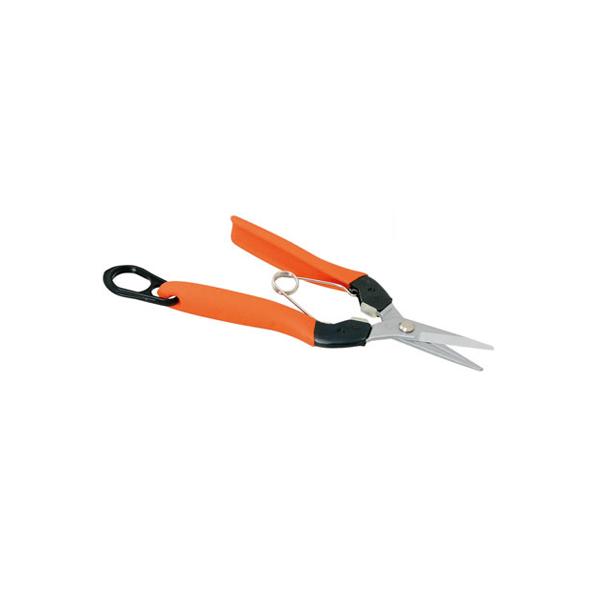 (݌ɂ)(ŒZ) E T{e NO.AG-7 T{e EԂ͂  ʎ n iX g}g LE n IWF E^NbV