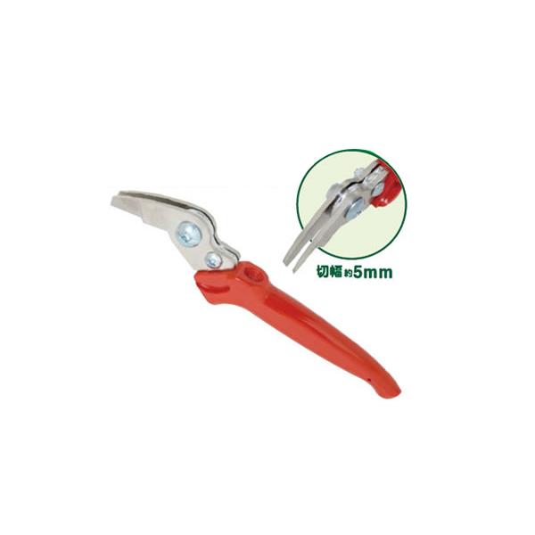 T{e ͂ЃiCt NO.B-9@ʎF x Ԃǂ Ԃǂ_ ʎ ό_ IWF