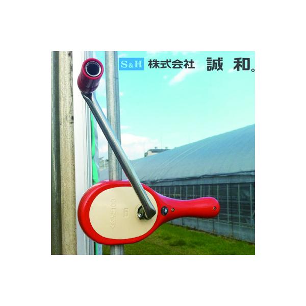 a nEXグCu t@~ 100 2 @ nEXTCh ʊC rj[nEX }LAQ@ 邭  