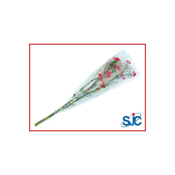 ϐ ZLXC OPEz_[p ԑ 30 220/50×500+50 2500 ԑptB t[ t[pbN t[Lbv