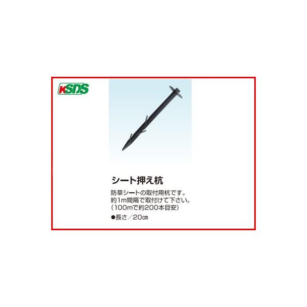 dC dq V[gY i100{j s d