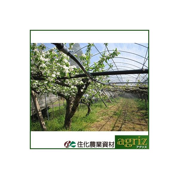 `[u ~XgG[X `[u Z_Ǝ ~XgG[XQO ʎ OQ 100m ʐEEpnK[cݒu `[u 󐅃`[u