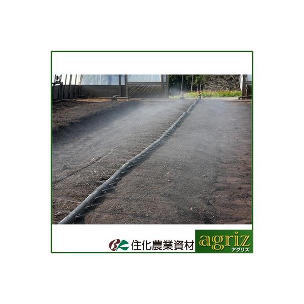 `[u ~XgG[X `[u Z_Ǝ ~XgG[X _uEBO 100m  󕬖U 10cm璹 `[u 󐅃`[u