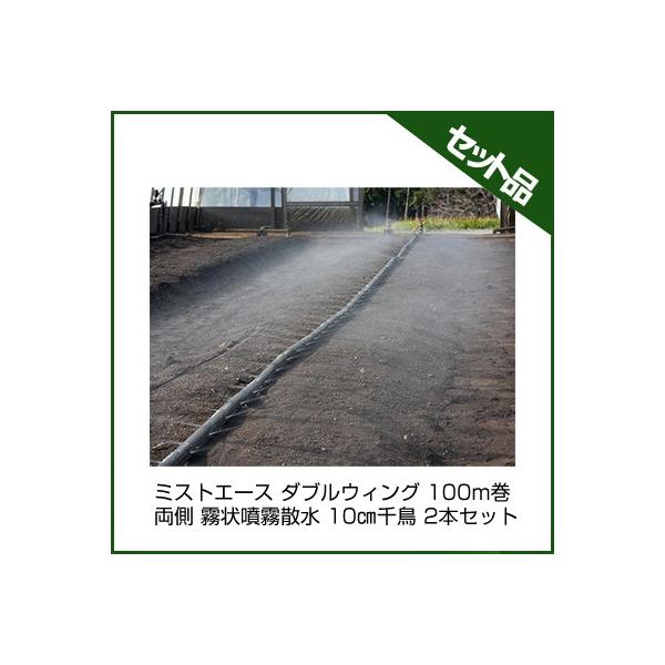 `[u ~XgG[X `[u Z_Ǝ ~XgG[X _uEBO 100m  󕬖U 10cm璹 2{Zbg `[u 󐅃`[u