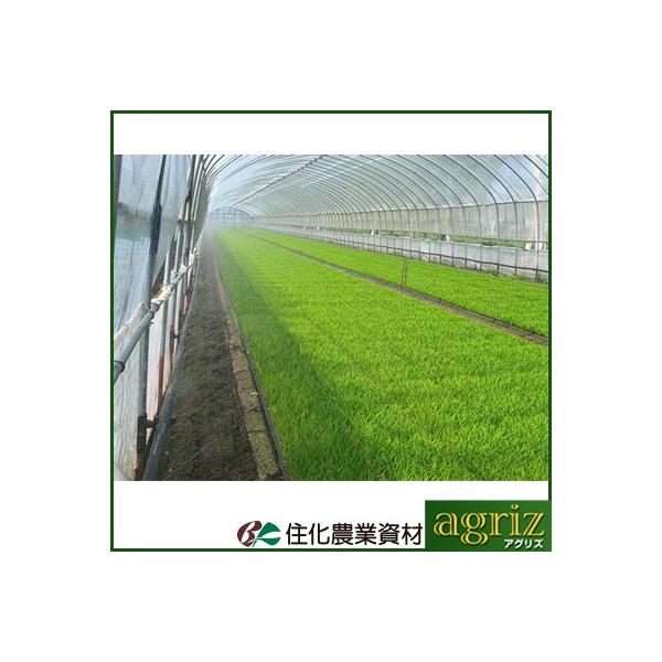 `[u ~XgG[X `[u Z_Ǝ ~XgG[X SVQ 120m (TCh) `[u 󐅃`[u