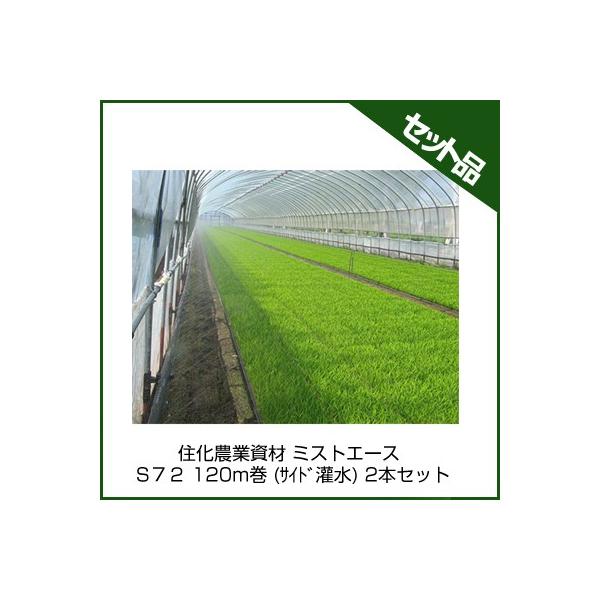 `[u ~XgG[X `[u Z_Ǝ ~XgG[X SVQ 120m (TCh) 2{Zbg `[u 󐅃`[u