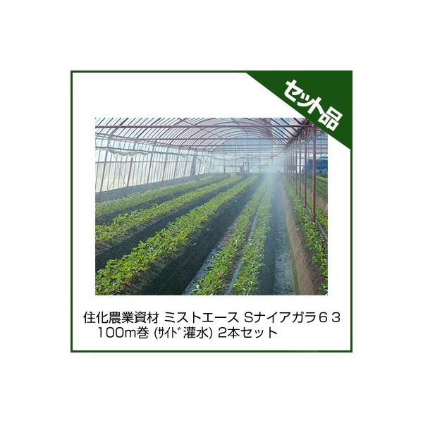 `[u ~XgG[X `[u Z_Ǝ ~XgG[X SiCAKUR 100m (TCh) 2{Zbg `[u 󐅃`[u