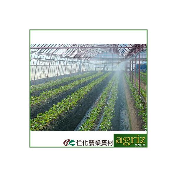 `[u ~XgG[X `[u Z_Ǝ ~XgG[X SiCAKUR 120m (TCh) `[u 󐅃`[u