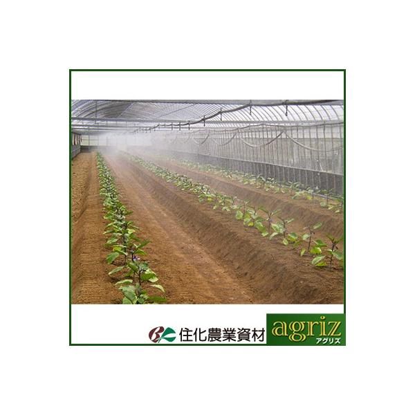 `[u ~XgG[X `[u Z_Ǝ ~XgG[XQO nEXN[OQ 100m וEȈ՗[ `[u 󐅃`[u