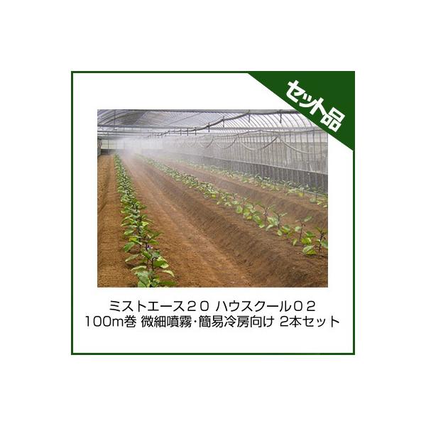 `[u ~XgG[X `[u Z_Ǝ ~XgG[XQO nEXN[OQ 100m וEȈ՗[ 2{Zbg 󐅃`[u