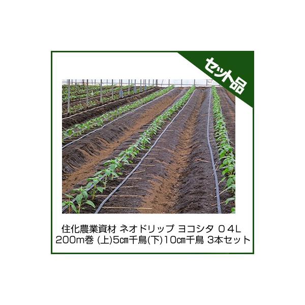 `[u lIhbv `[u Z_Ǝ lIhbv RV^ OSL 200m ()5cm璹()10cm璹 3{Zbg `[u 󐅃`[u