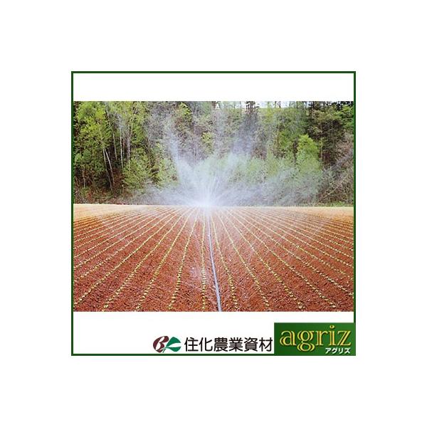 `[u X~C `[u Z_Ǝ X~C SOHD 55m  (p) `[u 󐅃`[u