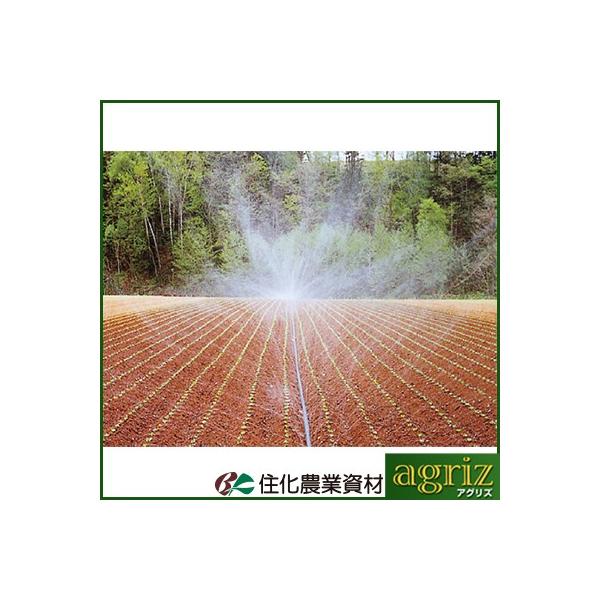 `[u X~C `[u Z_Ǝ X~C TO 100m `[u 󐅃`[u