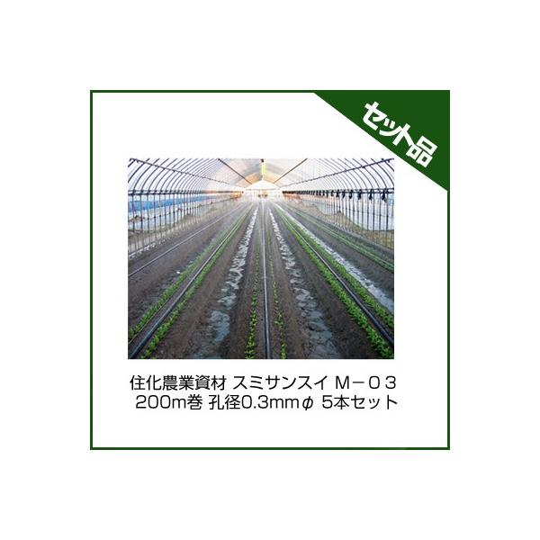 `[u X~TXC `[u Z_Ǝ X~TXC M|OR 200m Ea0.3mm 5{Zbg `[u 󐅃`[u