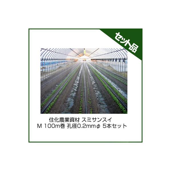 `[u X~TXC `[u Z_Ǝ X~TXC M 100m Ea0.2mm 5{Zbg `[u 󐅃`[u