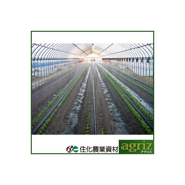 `[u X~TXC `[u Z_Ǝ X~TXC M 200m Ea0.2mm `[u 󐅃`[u