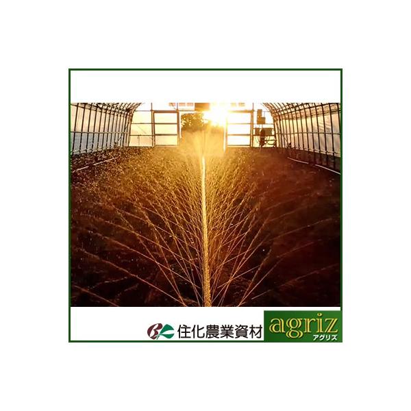 `[u X~TXC `[u Z_Ǝ X~TXC RnEXCh 110m  ~7.2m `[u 󐅃`[u