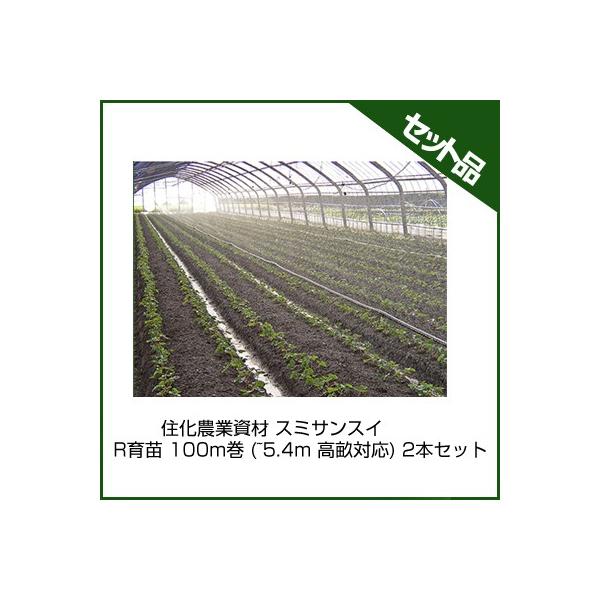 `[u X~TXC `[u Z_Ǝ X~TXC Rc 100m (~5.4m Ή) 2{Zbg `[u 󐅃`[u