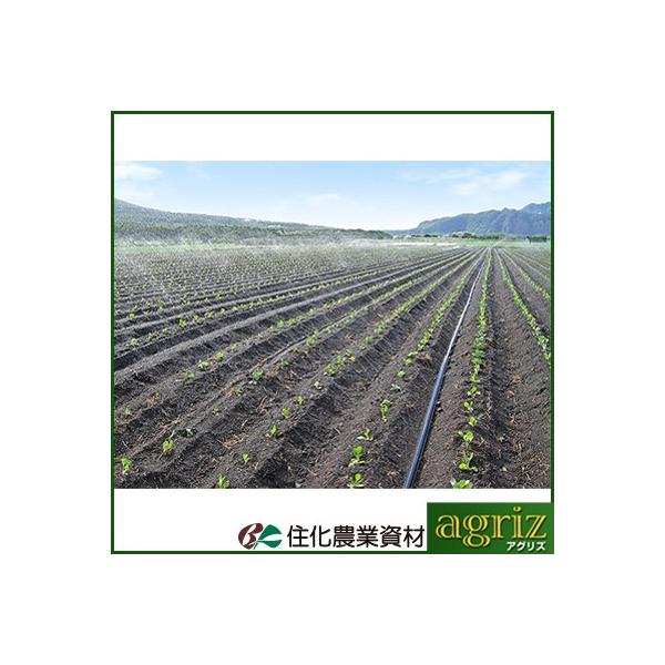 `[u X~TXC `[u Z_Ǝ X~TXC RInCh 100m  ~10m `[u 󐅃`[u