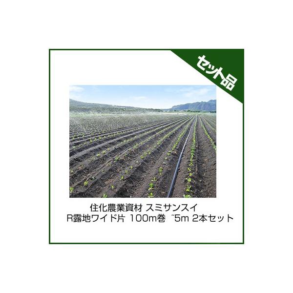 `[u X~TXC `[u Z_Ǝ X~TXCRInCh 100m  ~5m 2{Zbg `[u 󐅃`[u