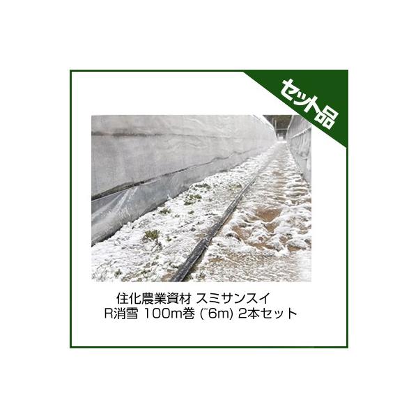 `[u X~TXC `[u Z_Ǝ X~TXC R 100m (~6m) 2{Zbg `[u 󐅃`[u