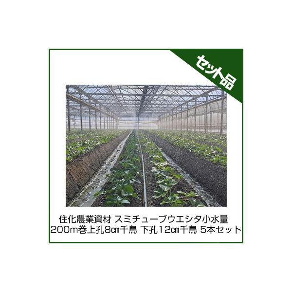 `[u X~`[u `[u Z_Ǝ X~`[uEGV^ 200m E8cm璹 E12cm璹 5{Zbg `[u 󐅃`[u