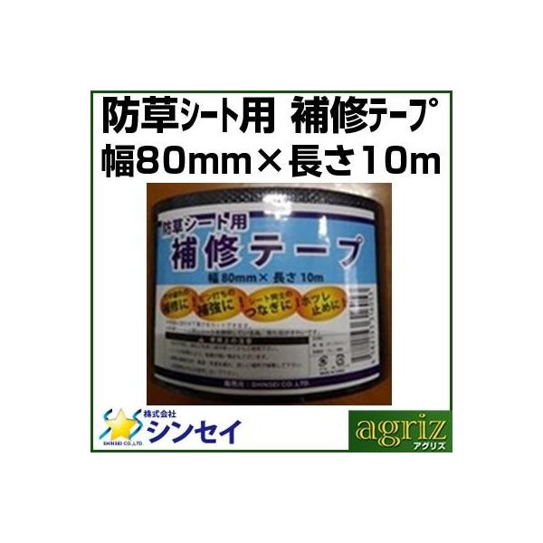 hV[g e[v VZC hV[gp ͕Ce[v   80mm X  10m 1 ⋭ Ȃ zc~ ubN {