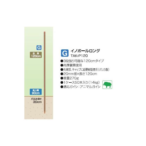 ^CK[ dC  TBS-PK20120 핢|ǎx K2012 50{ i20mma×120cmj Aj}L[ Cm|[O TAK-P120