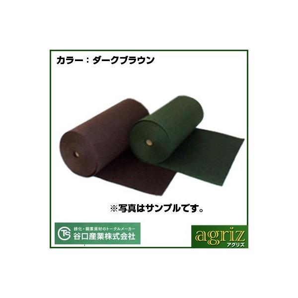 lzs hV[g 2m JY Aj[}bg C-3 Z [ 2m X 50m 2{ y H  NETIS zd K\[[