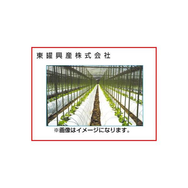 lOK  g[J }` ubNzCg 0.025mm 95cm 200m 3{ _Ǝ n}  Ռ nEX͔| In