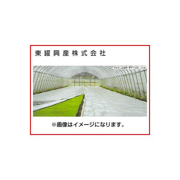 lOK  g[J Vo[Eu #90 230cm 50m 1 c Vo||gE uV[g