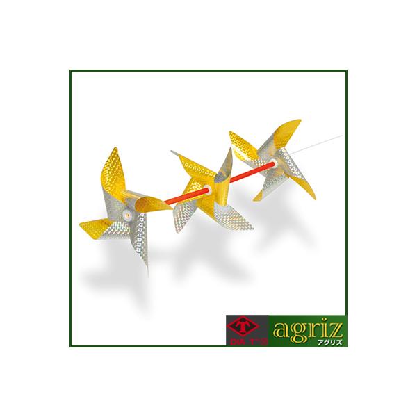 ŃMl ǂ3A