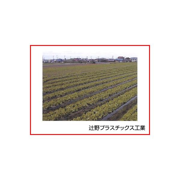 ҖvX`bNX  }` rIgbv 0.018mm×150cm×200m 5{ _Ǝ 𐫃}` ȗ͉ 
