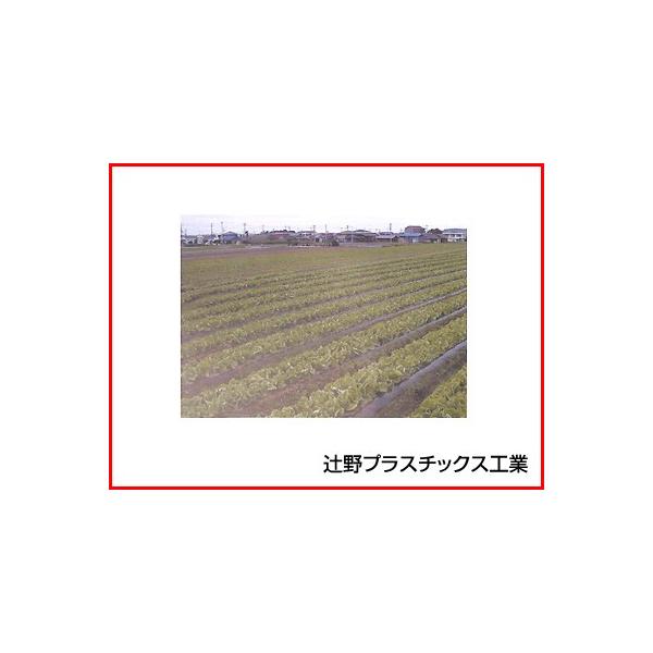 ҖvX`bNX }` 3{ 0.03mm×95cm×200m _Ǝ |pi ƒ؉ }`tB K[fjO