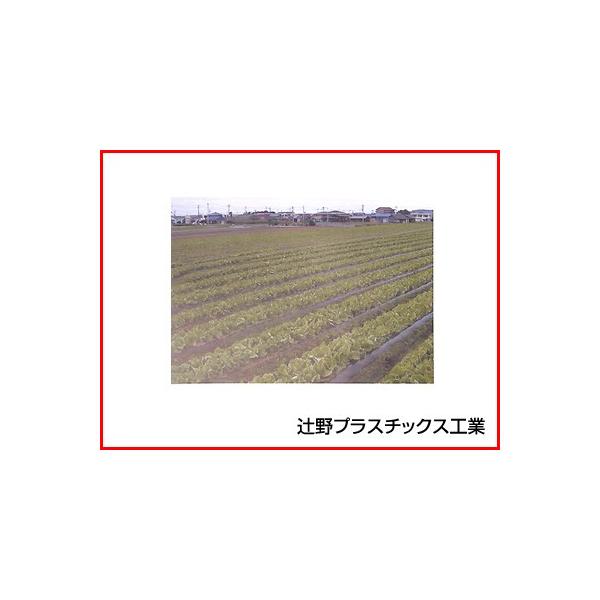 ҖvX`bNX }` 2{ 0.03mm×135cm×200m _Ǝ |pi ƒ؉ }`tB K[fjO