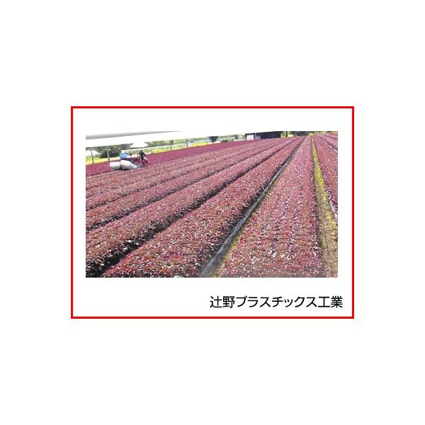 ҖvX`bNX _| 0.03mm×135cm×100m 5{ _Ǝ |pi ƒ؉ ʔ_|