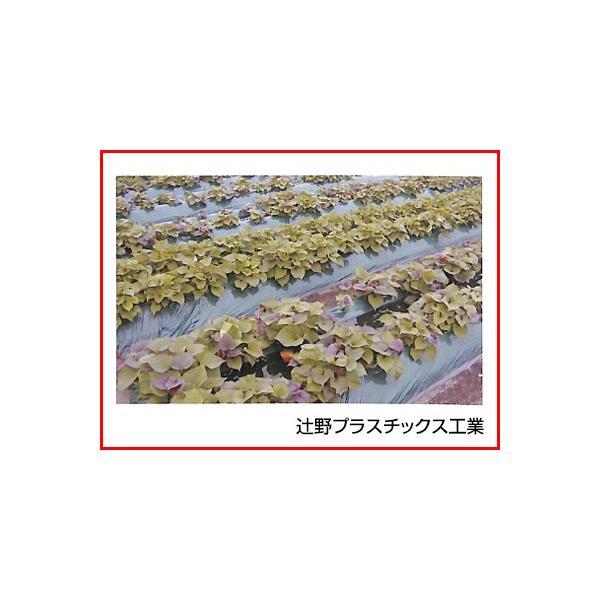 ҖvX`bNX O[}`i_[Nj 0.03mm×150cm×200m 2{ _Ǝ |pi ƒ؉ }`tB K[fjO